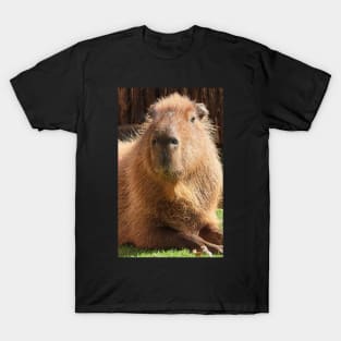 Capybara T-Shirt